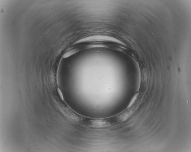 X0000073430380200608111306