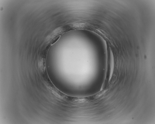 X0000073430428200608111305