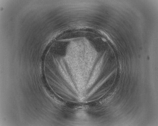 X0000073430447200608111304