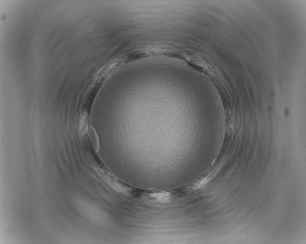 X0000073430478200608111305