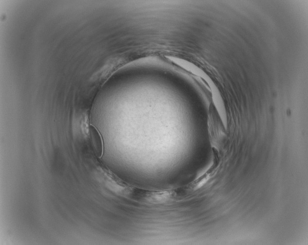 X0000073430479200608111305