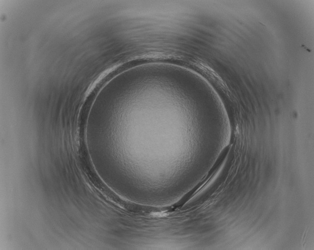 X0000073430484200608111304