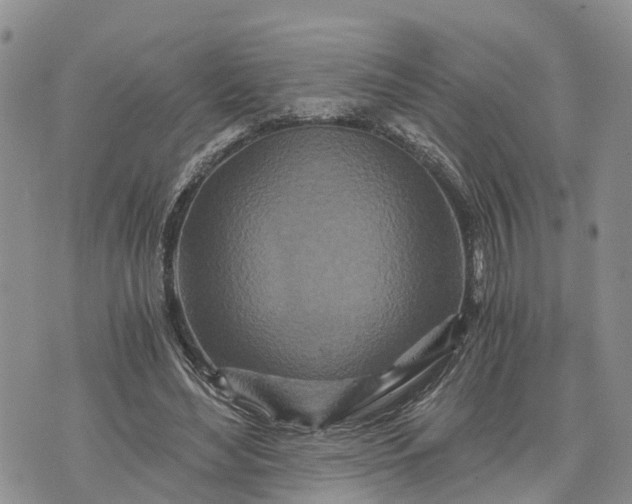 X0000073430492200608111304