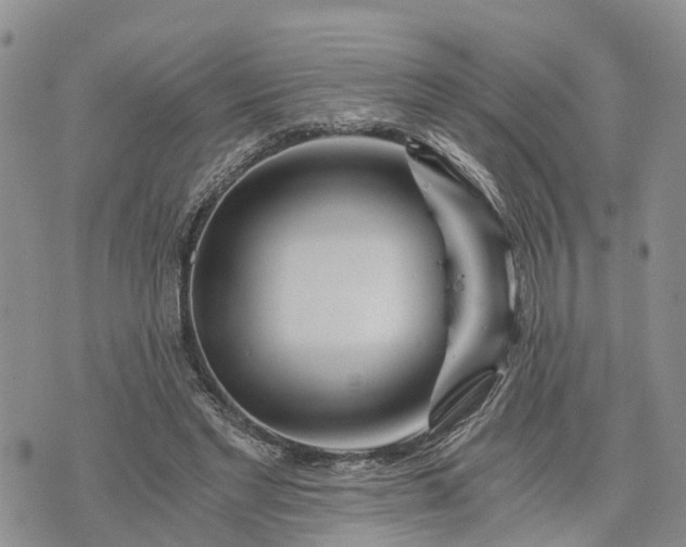 X0000073430493200608111304