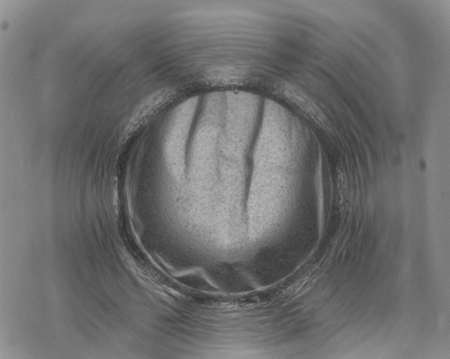 X0000073430494200608111304