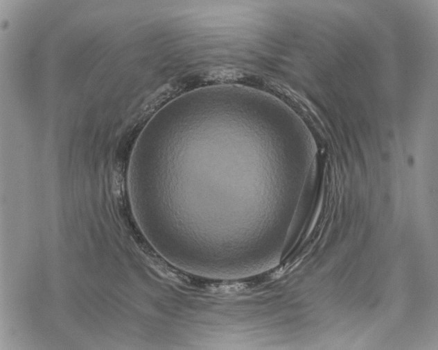 X0000073430517200608111303