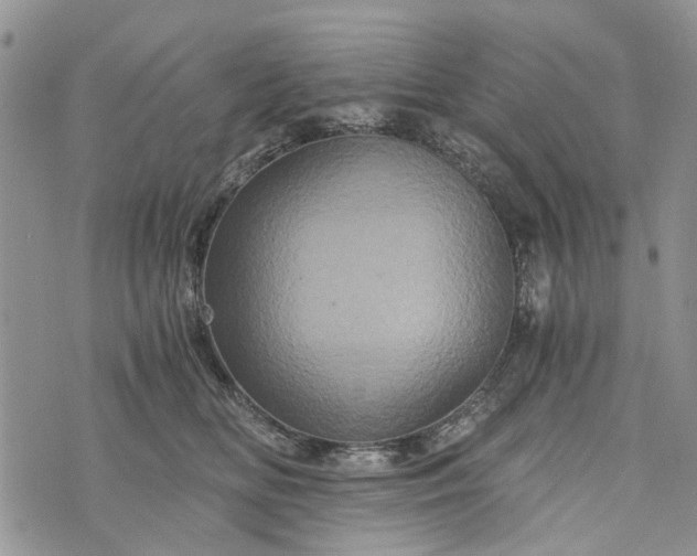 X0000073430518200608111303