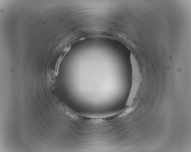 X0000073430528200608111303