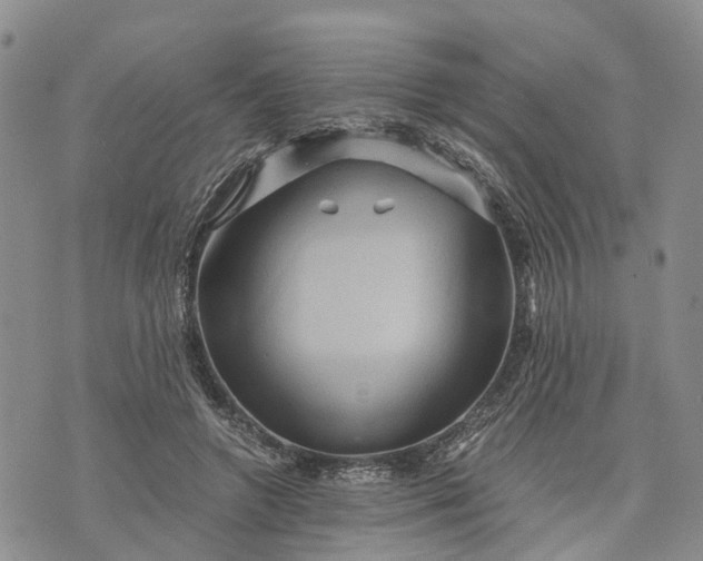 X0000073430546200608111302