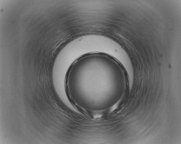 X0000073430556200608111303