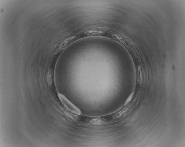 X0000073430562200608111303