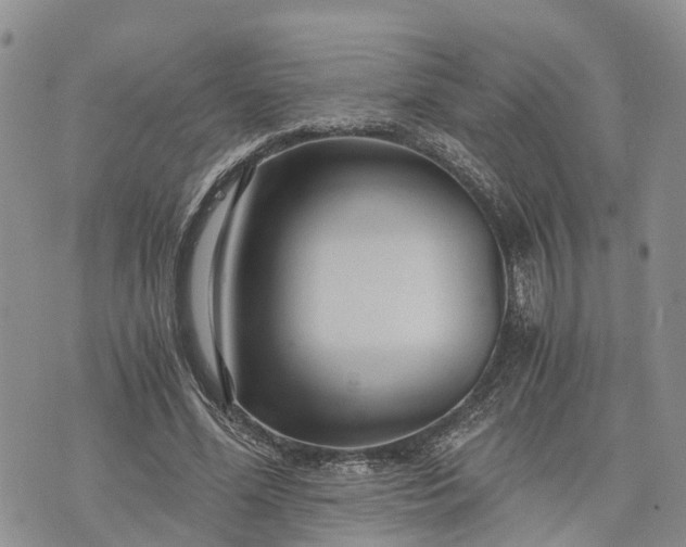 X0000073430588200608111302