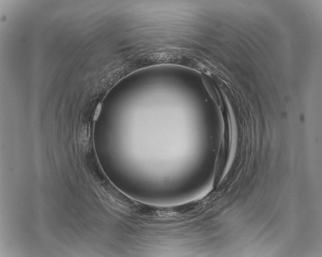 X0000073430605200608111302