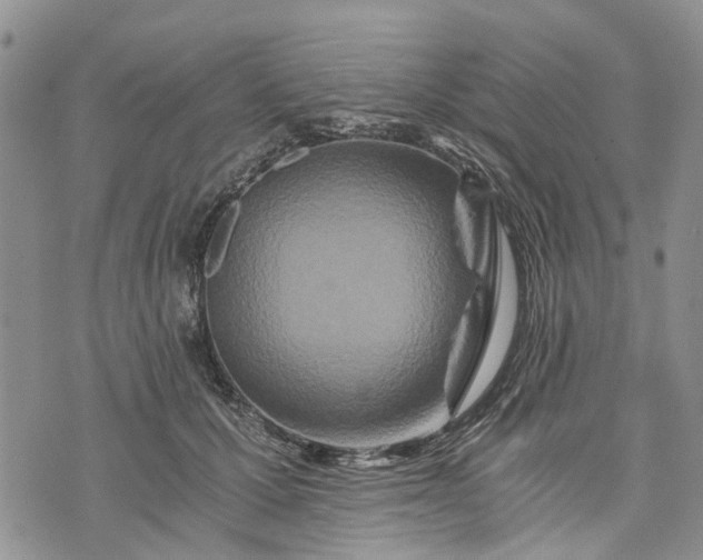 X0000073430607200608111302