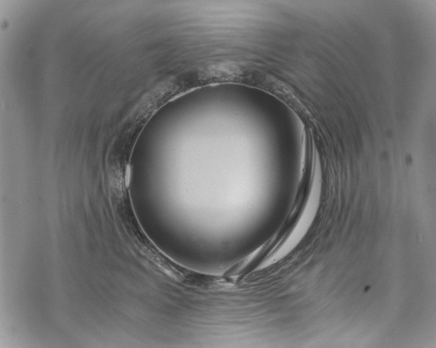X0000073430617200608111301