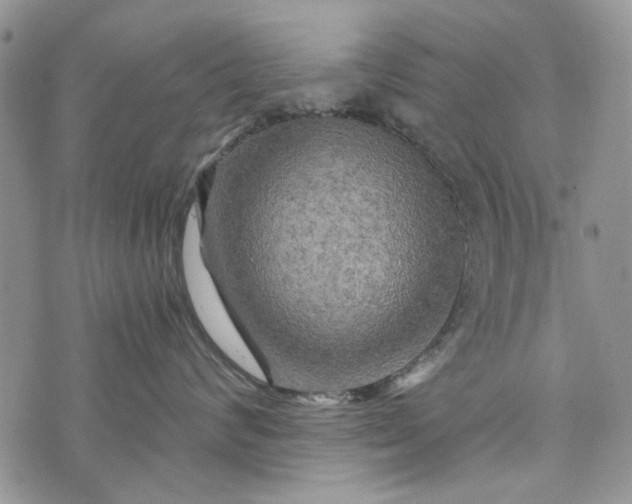 X0000073430624200608111301