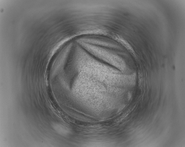 X0000073430628200608111301