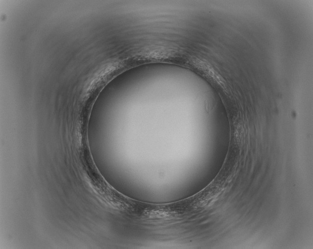 X0000073430635200608111301