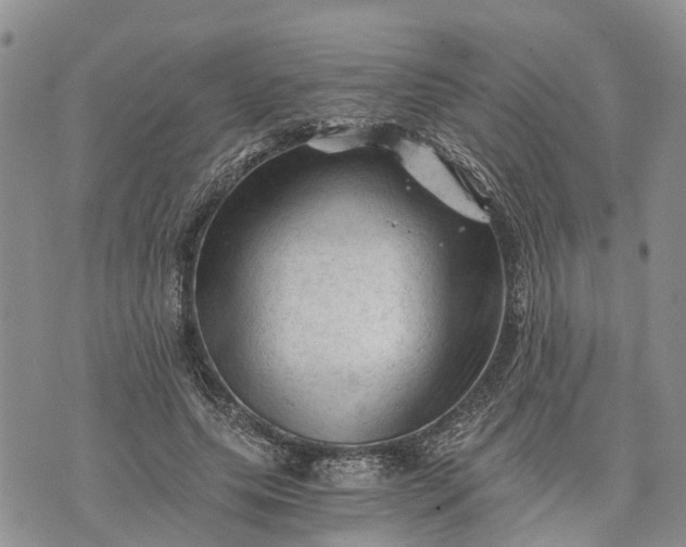 X0000073430639200608111301