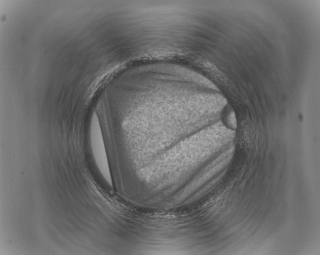 X0000073430640200608111301