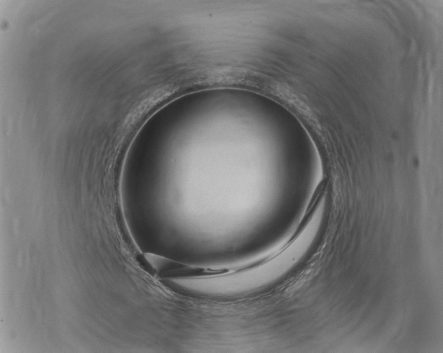X0000073430673200608111301