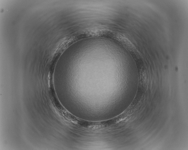 X0000073430694200608111300