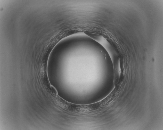 X0000073430697200608111300