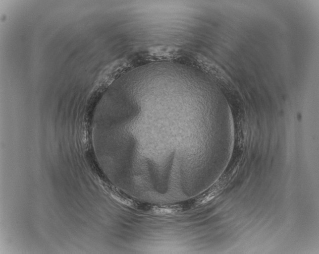 X0000073430706200608111300