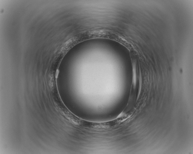 X0000073430708200608111300