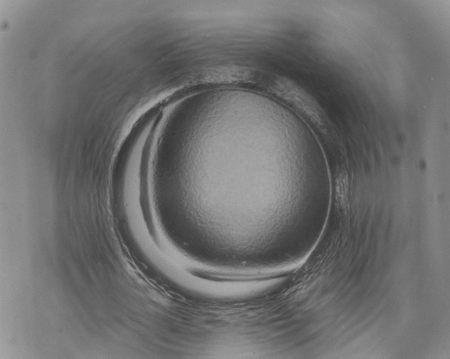 X0000073430724200608111259