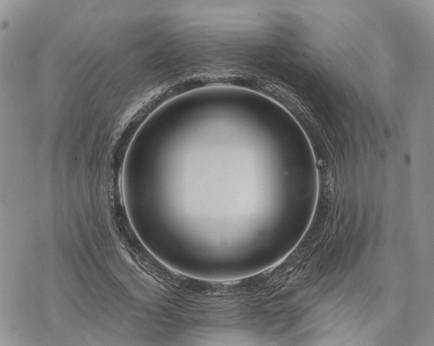 X0000073430732200608111259
