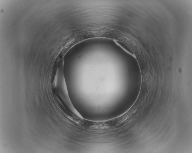 X0000073430752200608111259