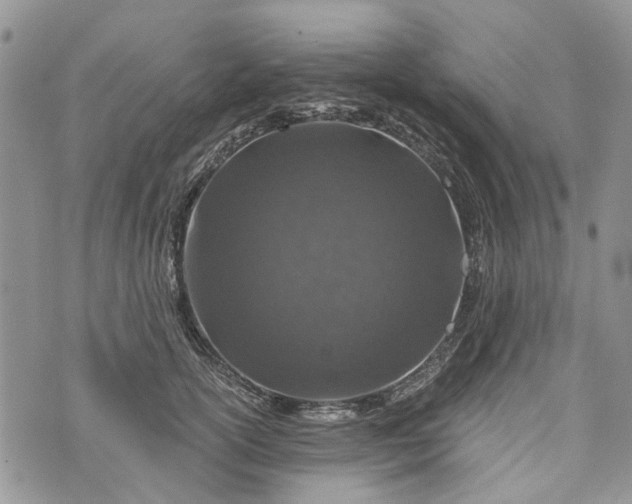 X0000073430754200608111259