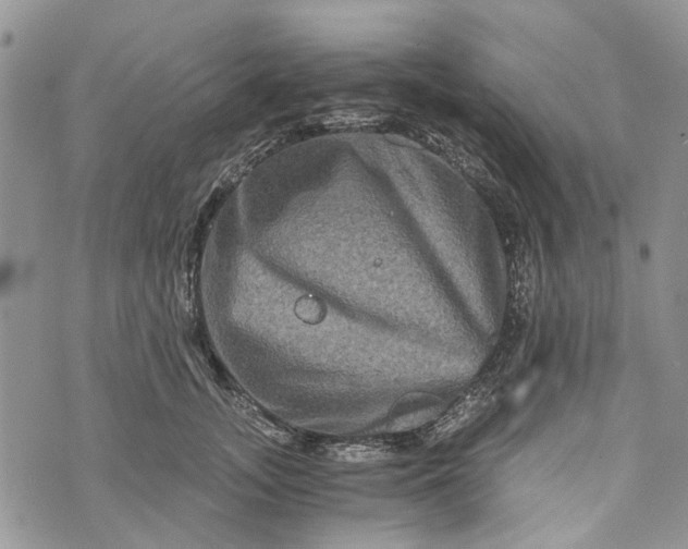 X0000073430755200608111300