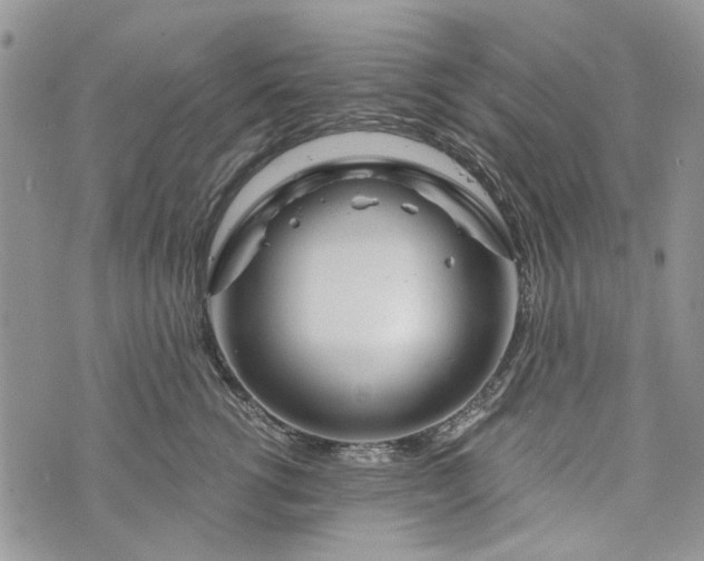 X0000073430762200608111300