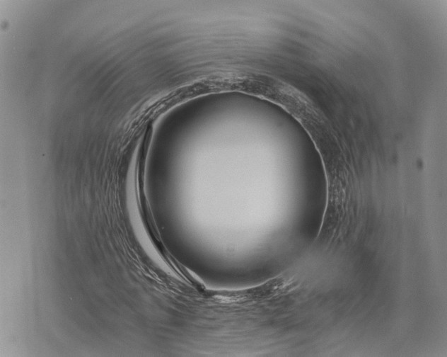 X0000073430773200608111259
