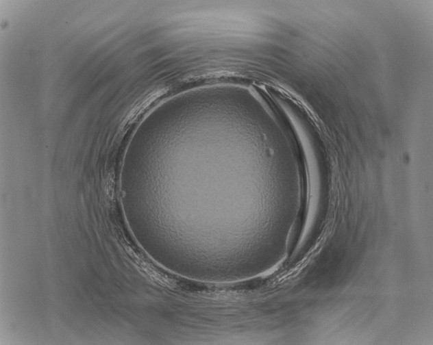 X0000073430785200608111259