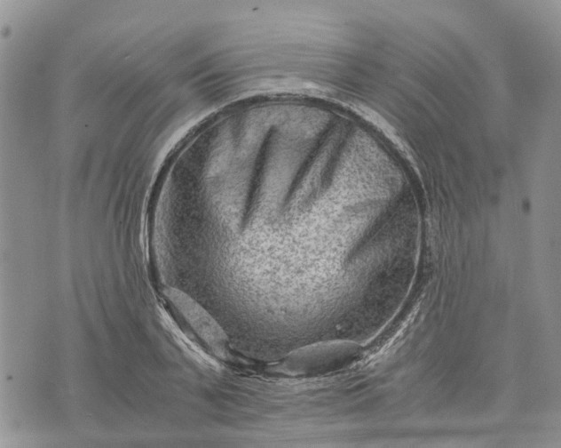X0000073430791200608111259