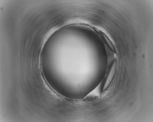 X0000073430815200608111258