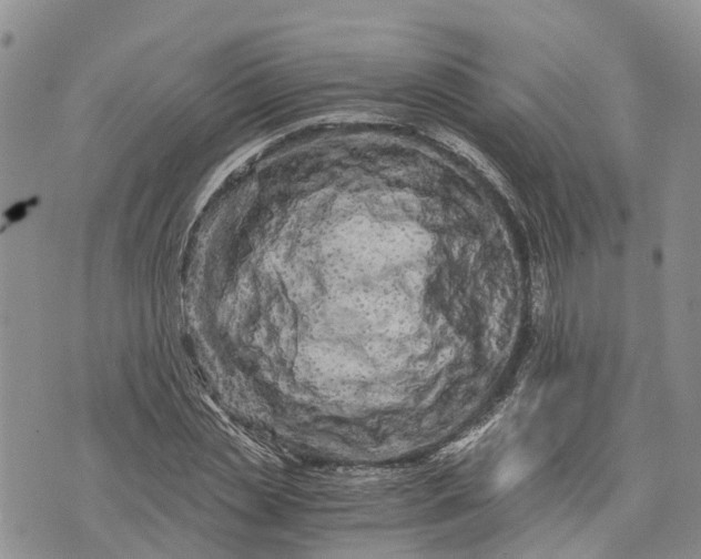 X0000073430829200608111258