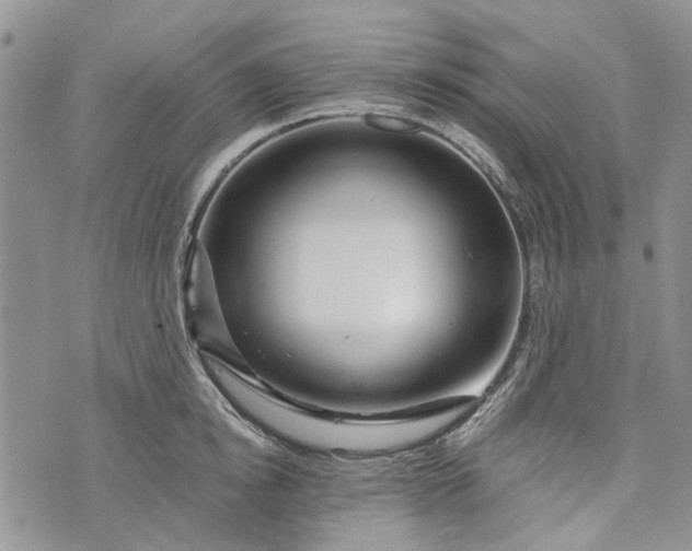 X0000073430854200608111258
