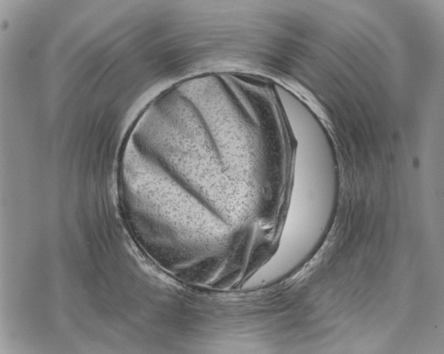 X0000073430904200608111257
