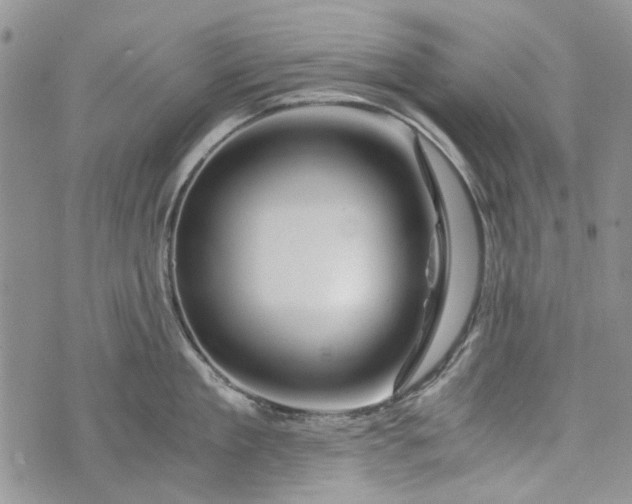 X0000073430909200608111257