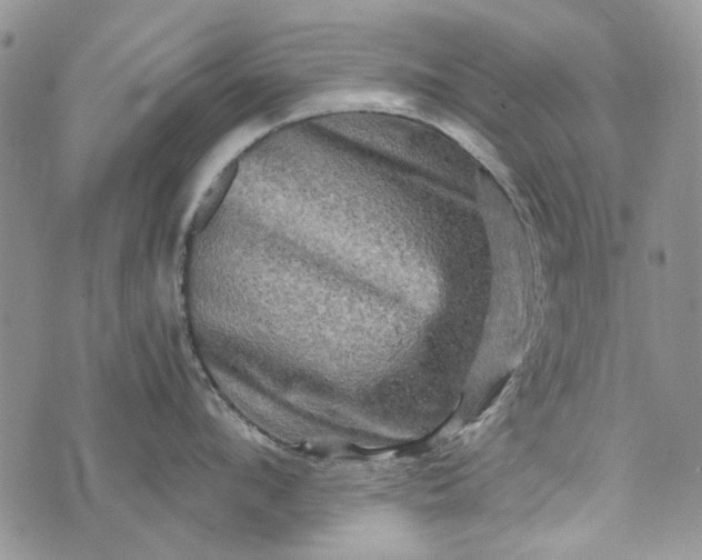 X0000073430912200608111257