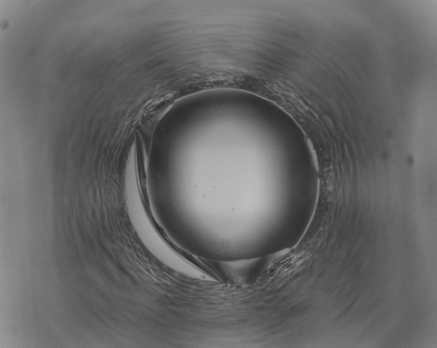 X0000073430916200608111256