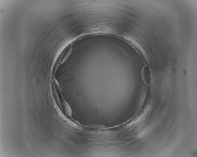 X0000073430941200608111256