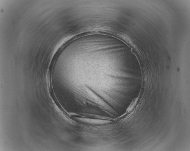 X0000073431032200608111255