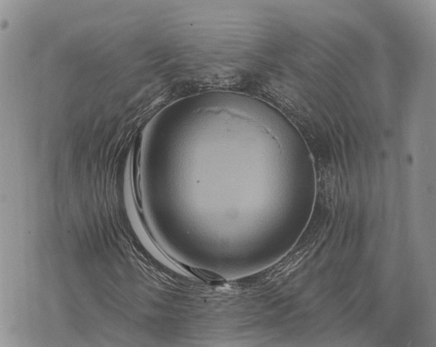 X0000073431058200608111254