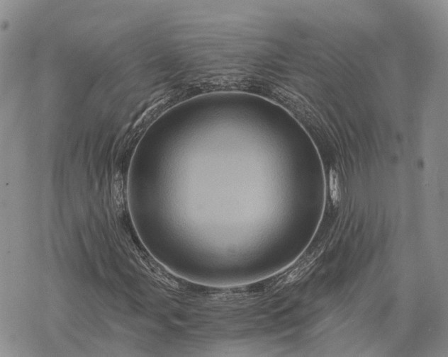 X0000073431107200608111253