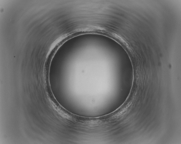 X0000073431122200608111253